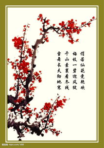 還有哪些關(guān)于梅的詩句