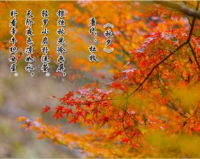 關于春天夏天秋天冬天的詩句,關于春天夏天秋天冬天的詩句古詩大全,描寫春天夏天秋天冬天的詩句