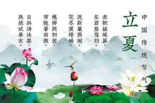 古詩,詩句,時節(jié),美好