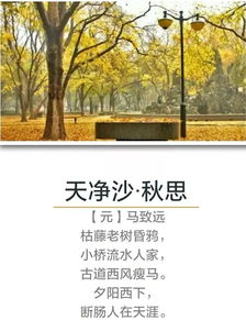 古詩詞,詩句,描寫,秋天