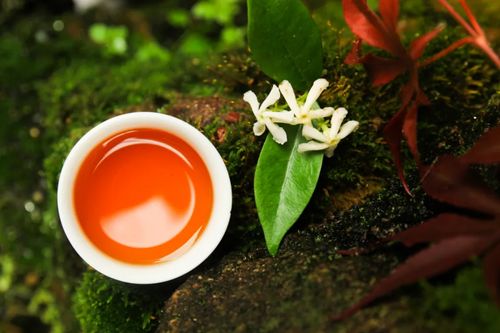 關于以茶思人的詩句
