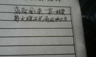 風字的古詩句