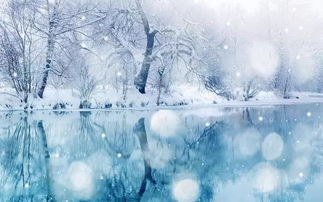 關(guān)于雪和驕人的詩句