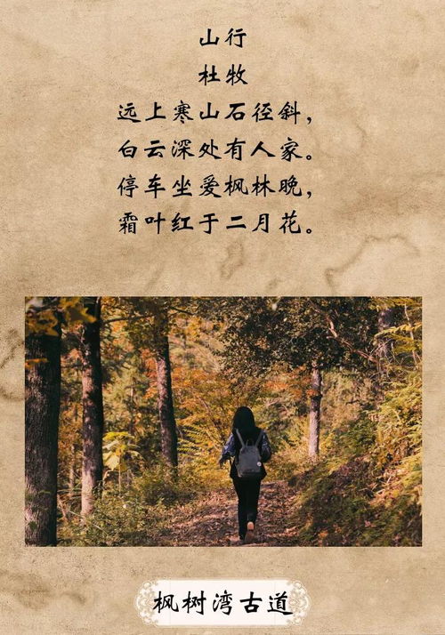 云和,詩句,相關(guān)