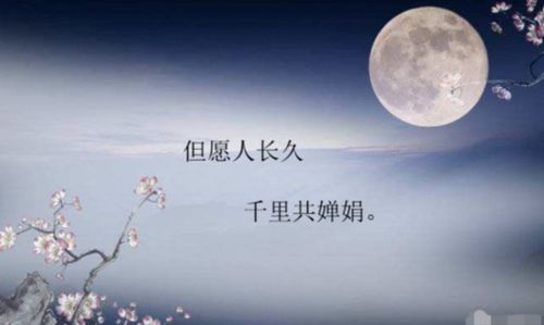 贊美中秋節(jié)的典故詩句古詩