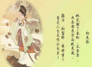 關于興趣用詩句表達