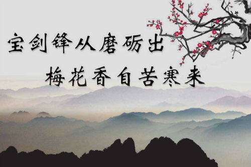 關(guān)于面對挫折的古詩句