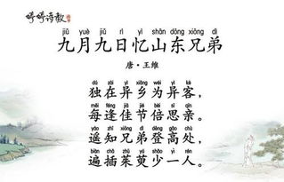 詩句九月九日憶山東兄弟古詩