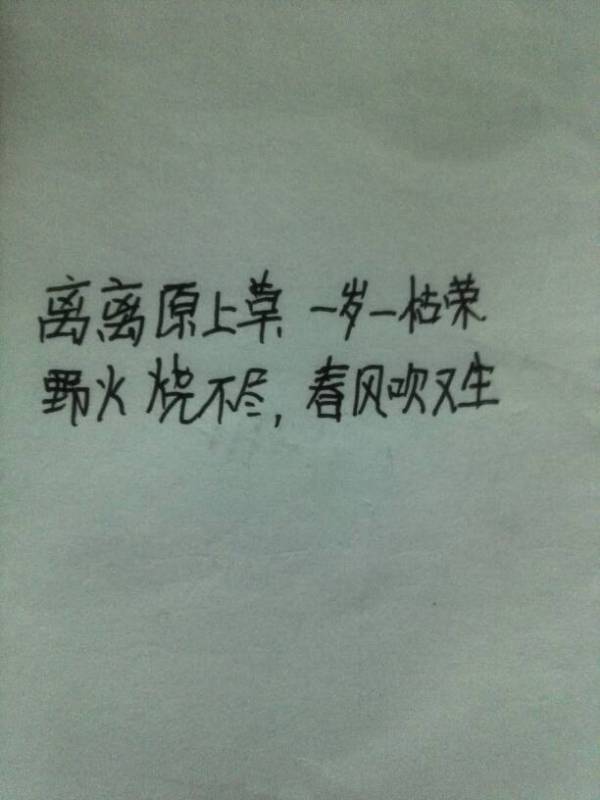 有關(guān)于堅(jiān)強(qiáng)的詩(shī)句