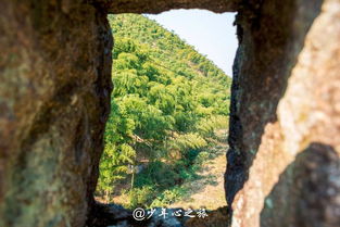 關于麗江山的詩句