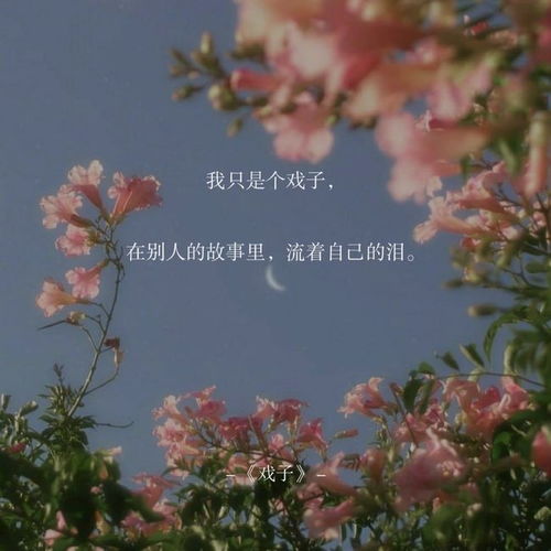 席慕蓉愛(ài)情詩(shī)句,關(guān)于詩(shī)和遠(yuǎn)方的詩(shī)句席慕蓉,故宮雪景的詩(shī)句席慕蓉