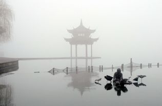 泛舟西湖的詩句古詩譯文