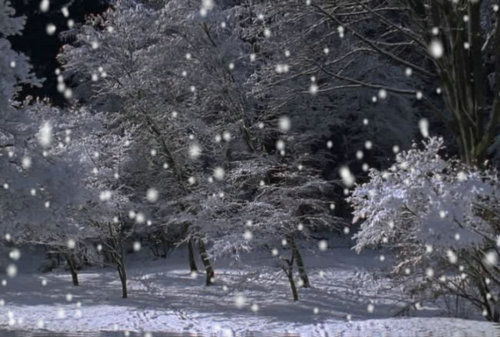 關(guān)于描寫冬天下雪的詩句