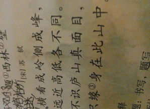 關于古代詩句和意思是什么意思是什么
