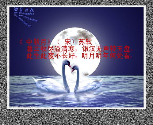 朗誦,詩句,中秋