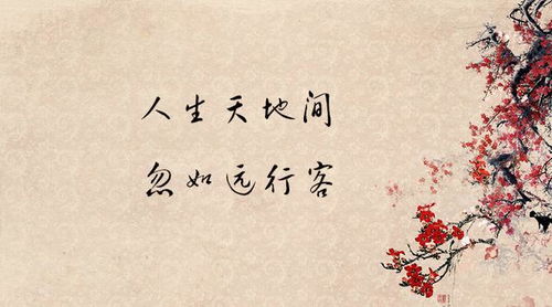 6字唯美古詩句子