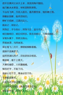 山河,詩句,祖國,小學(xué)