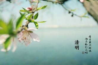 古詩(shī)詞,詩(shī)句,描寫,贊美