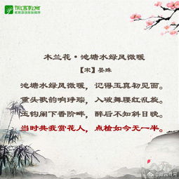 關(guān)于感恩知己的詩句