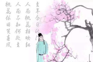 關(guān)于人面桃花的詩句