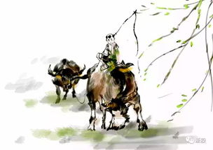 表現(xiàn)牧童無憂無慮的詩句,表現(xiàn)牧童無憂無慮和悠閑自在的詩句,所見描寫牧童無憂無慮的詩句