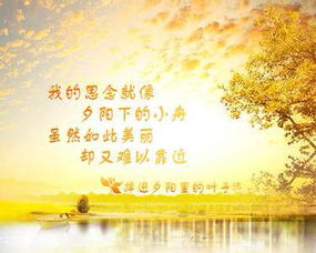 表達思念的古詩句句子