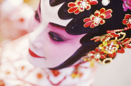 關(guān)于京劇花旦的詩句