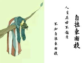 古詩句中有zhao音的