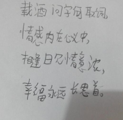 描寫家庭快樂的詩(shī)句古詩(shī)詞