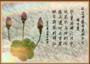 關(guān)于夏季自然體驗(yàn)的詩句