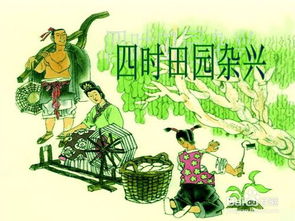 描寫夏天山林的古詩(shī)句