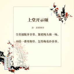 到了冬天關(guān)于梅花的詩句是什么意思是什么