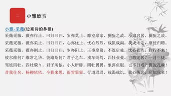 詩經(jīng)關(guān)于同學(xué)的詩句