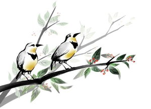 關(guān)于鳥的詩句古詩大全_李兆香博客