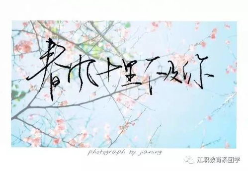 關(guān)于桃花非常多的詩句