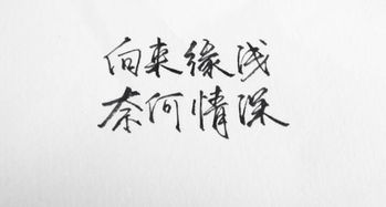 情深緣淺的古詩句
