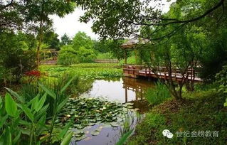 夏天的詩句關(guān)于池塘
