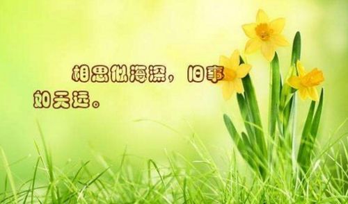 關于懷念家長花香的詩句