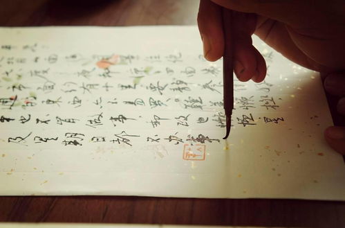 關(guān)于書信少的詩(shī)句
