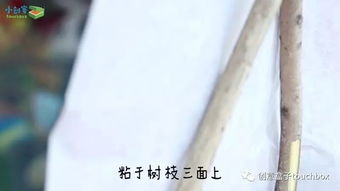 關于紙的簡單詩句