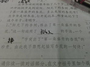 關(guān)于描寫杏花的古詩句