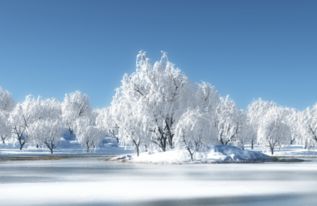 詩句,美景,形容,留下
