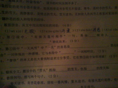 關(guān)于有接天蓮葉相伴的詩句