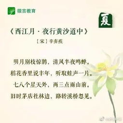 寫一句關(guān)于夏天的古詩句