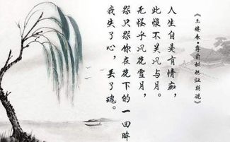 寫出關(guān)于風(fēng)景的詩句古詩詞