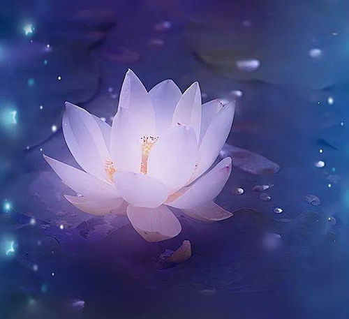 關(guān)于風(fēng)的主題的詩(shī)句