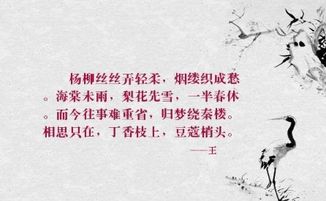寫很多花很漂亮的詩句古詩