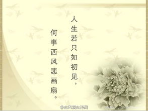 情侶古詩句子唯美