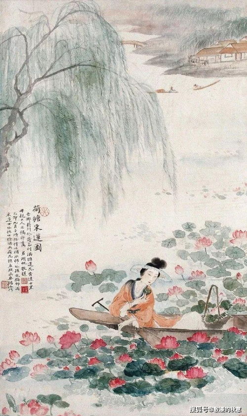 描寫芙蓉的詩(shī)句古詩(shī)