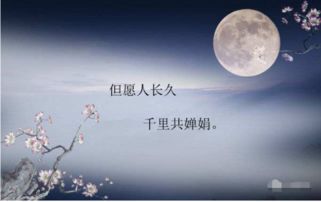 關(guān)于月亮中秋節(jié)的詩句古詩大全